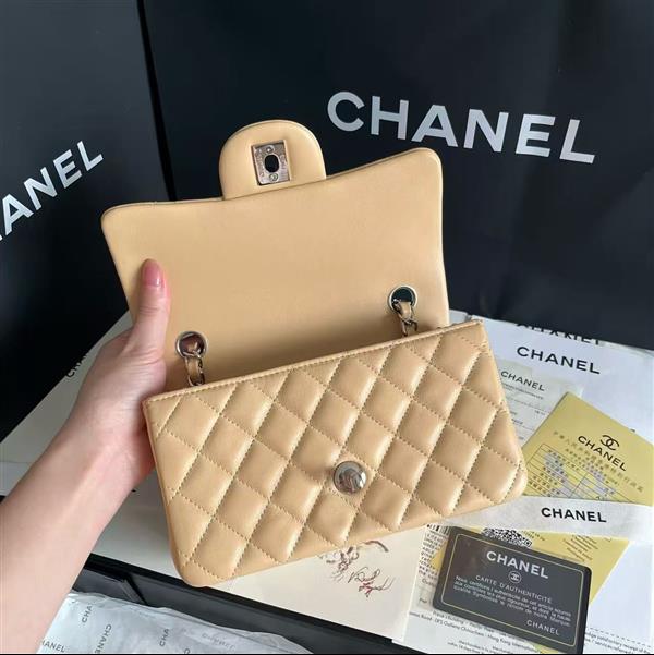 2026127205647848 380